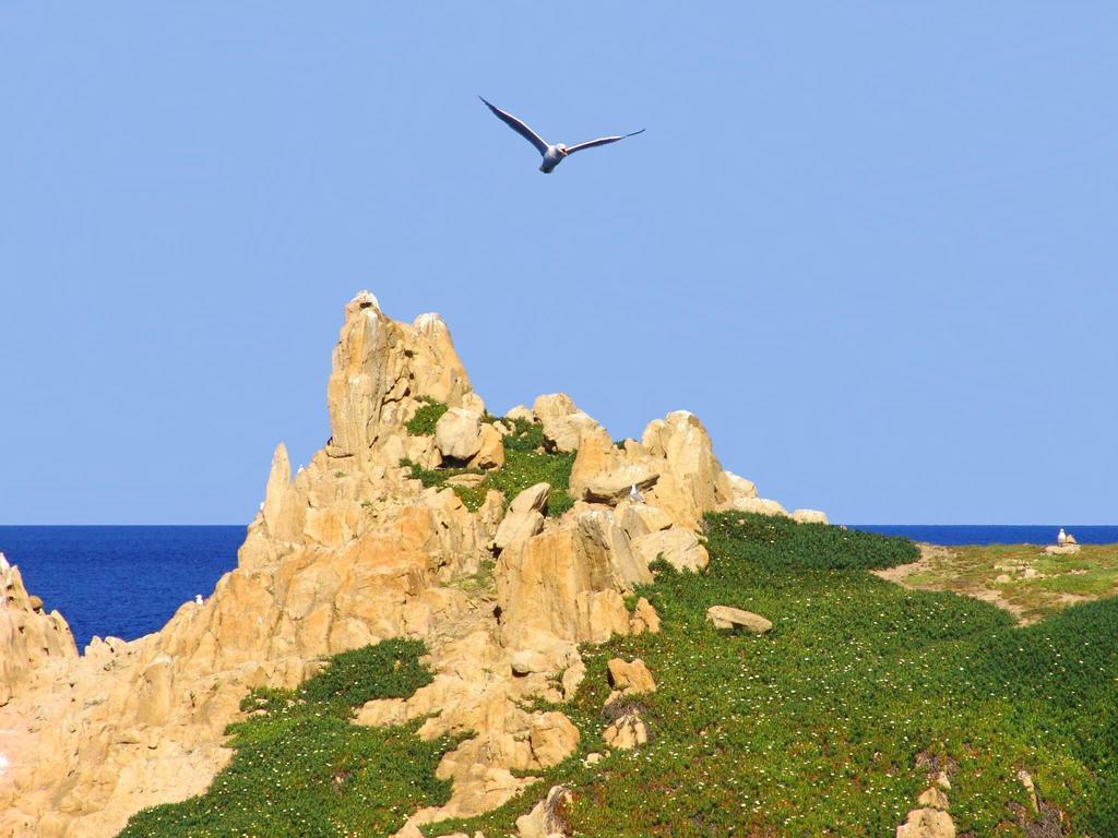 Maison Coeur De Village Ramatuelle Εξωτερικό φωτογραφία